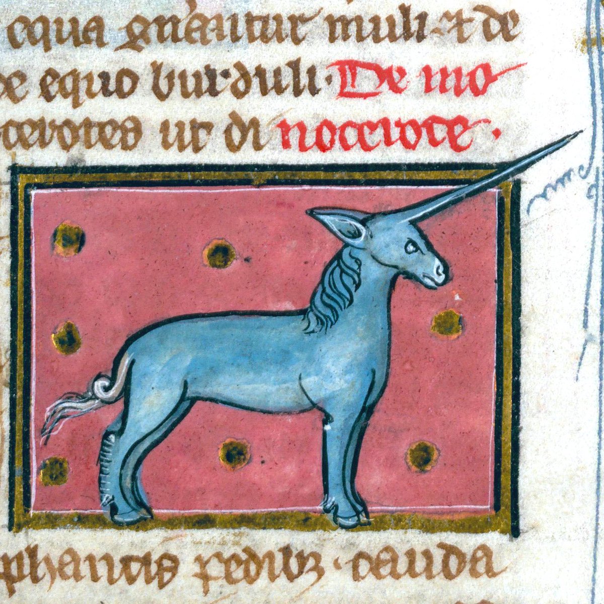 Thomas of Cantimpré, Liber de natura rerum, France c. 1290.