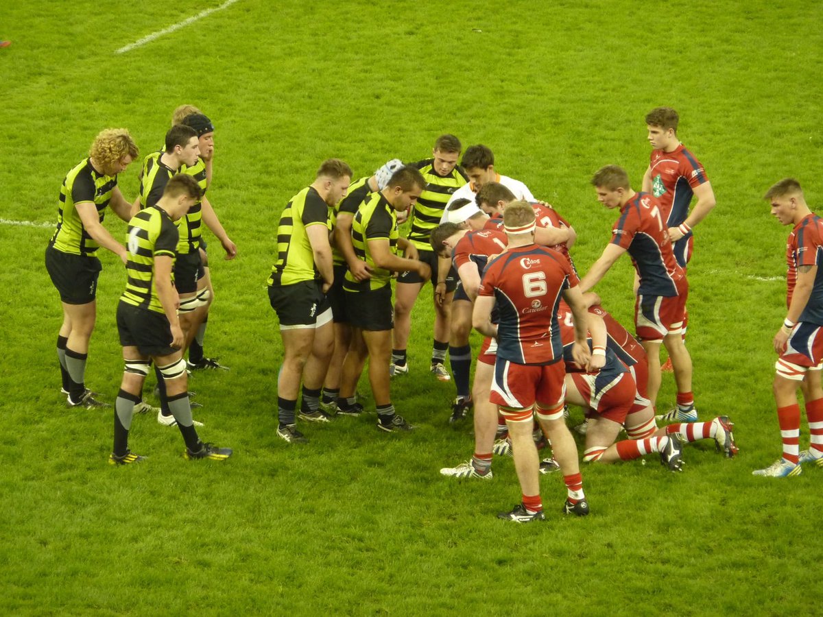 Owain Gwynedd tweet media