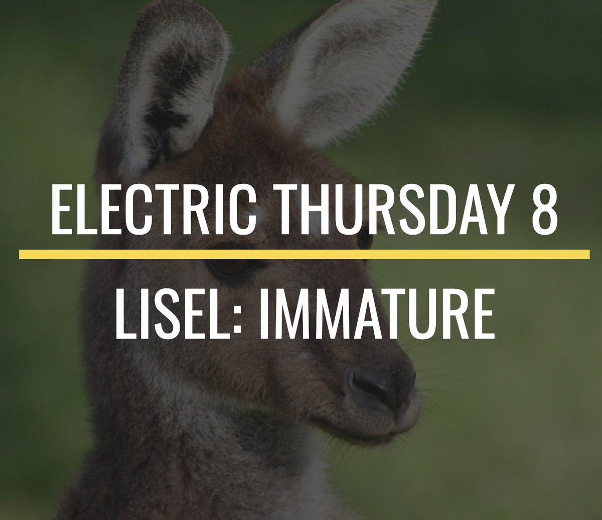 mcs42's tweet photo. 🎧🎶🎧#55daysoflistening🎧🎶🎧
#electricthursday
loops from lisel for your listening today
https://t.co/xLQm64Ubct https://t.co/buhhbJzfKp