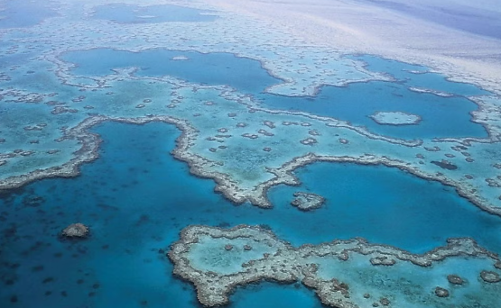 Does the #GreatBarrierReef stand any chance of survival? > independent.co.uk/travel/ausandp… Photography: Piaxabay