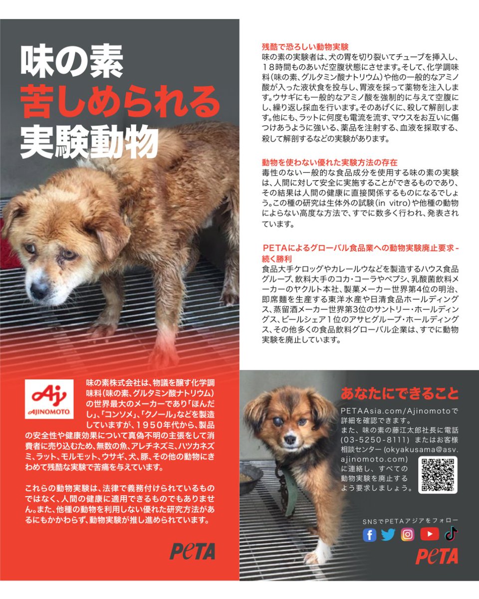 本日、PETAは京橋の味の素本社前でリーフレット配布を行いました。1時間で100枚のリーフレットを配布し、約40名の方が受け取って本社に入られました✨