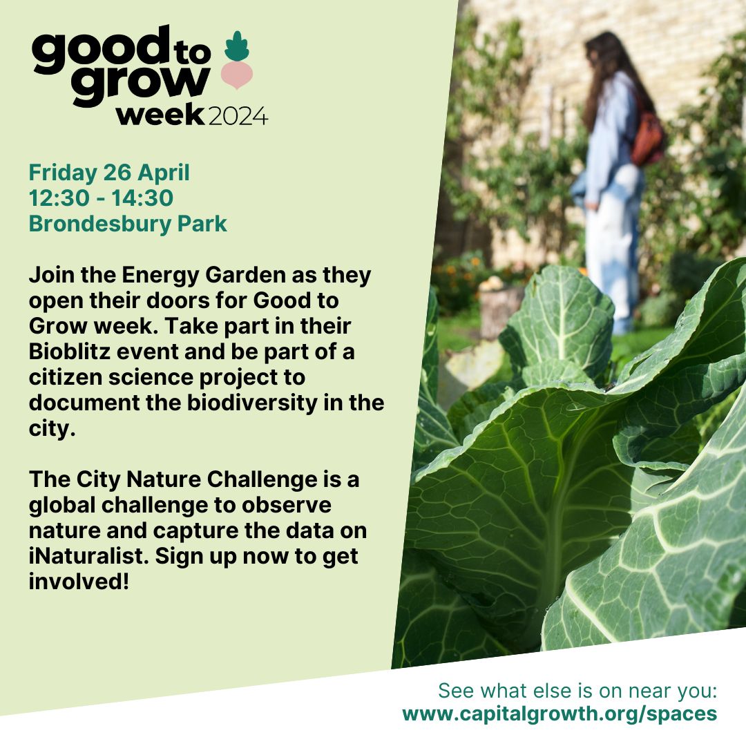 A date for your diaries 📖 Join the Energy Garden as part of Good to Grow week as they invite you to conduct a #Bioblitz as part of the #CityNatureChallenge to observe and record biodiversity sightings on iNaturalist. buff.ly/442zlIp