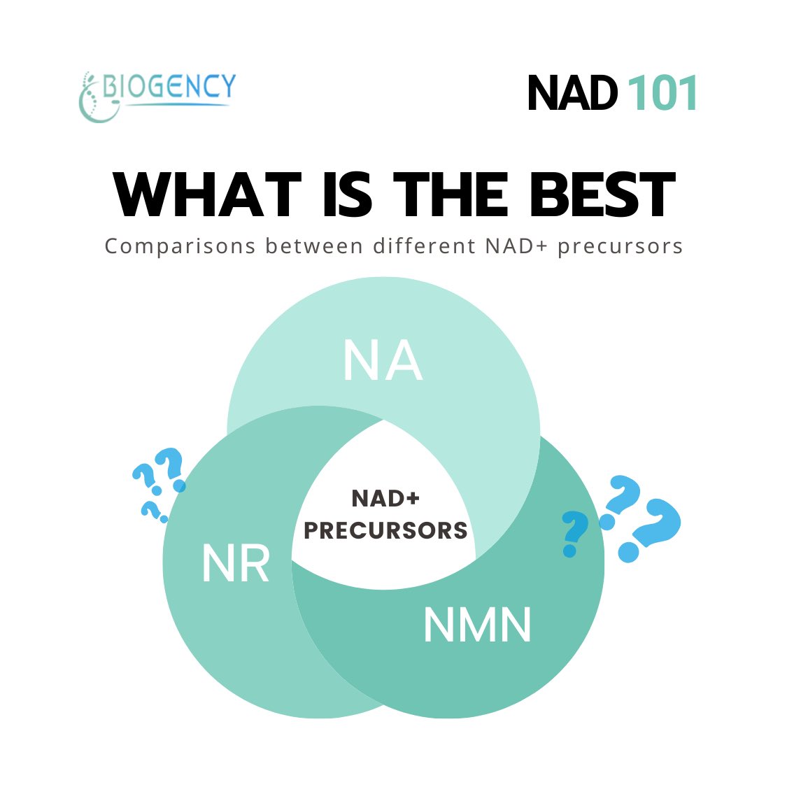 biogency's tweet photo. 🔍 New to NAD+ and unsure which precursor is right for you? You’re not alone! #NAD101 by #biogency guides you through Niacin (NA), Nicotinamide Riboside (NR), and Nicotinamide Mononucleotide (NMN). Get ready to find your perfect match! 💡✨ https://t.co/GQFSRquqNX