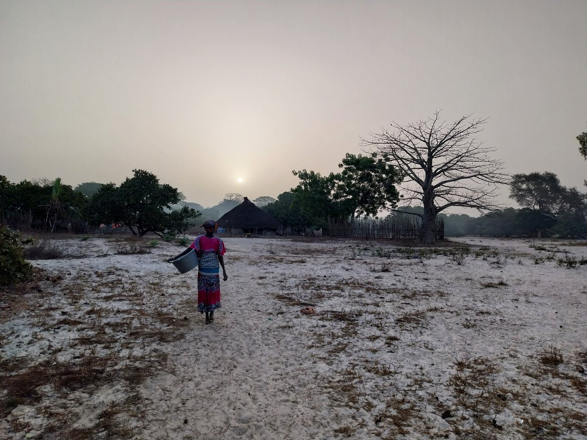 The Northwest of #GuineaBissau contrasts with the rest of the country for its savannah ecosystem. In the village of Edjim, watching the sunrise and sunset in this landscape is a real privilege.