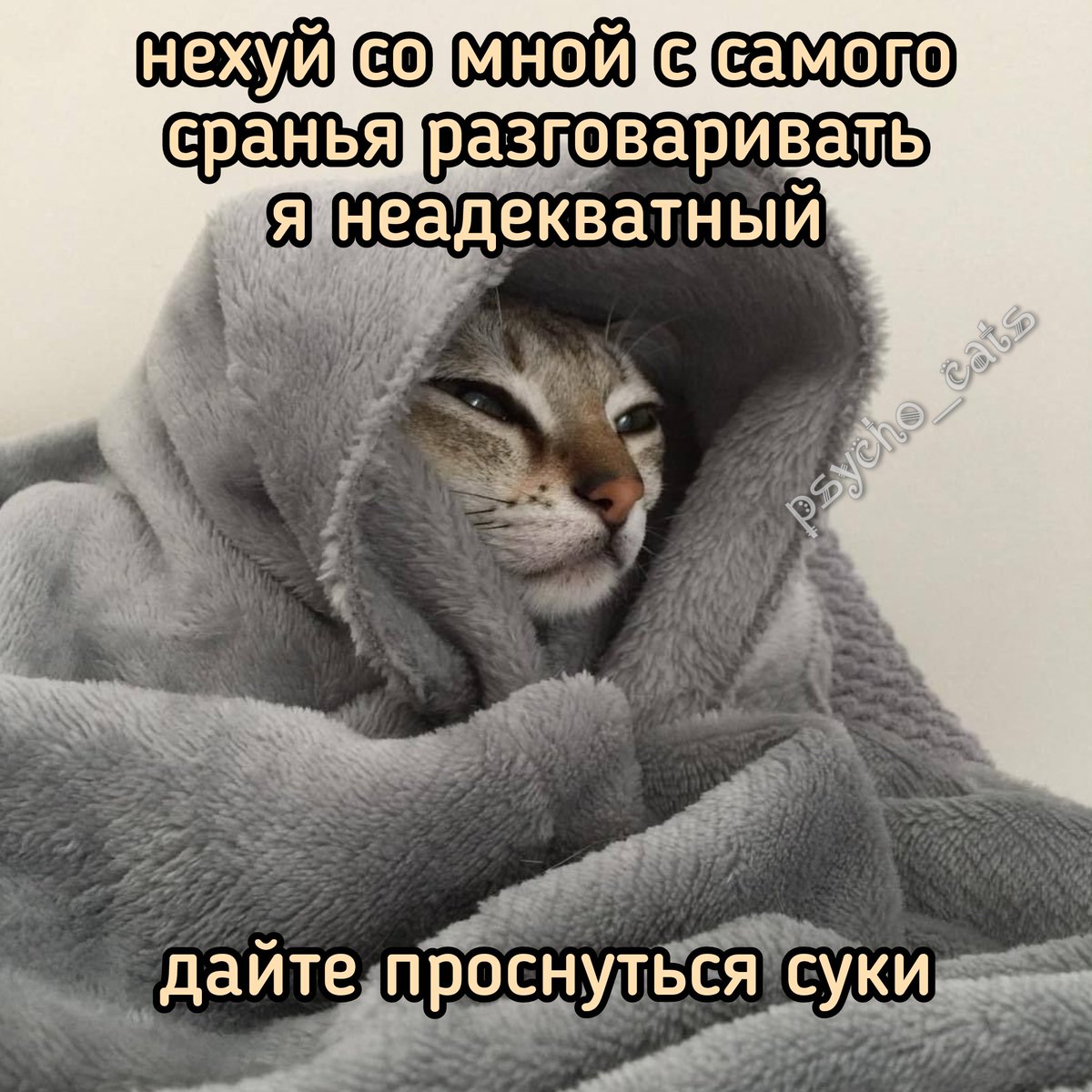 psycho__cats's tweet photo. https://t.co/qHupXjrDw0