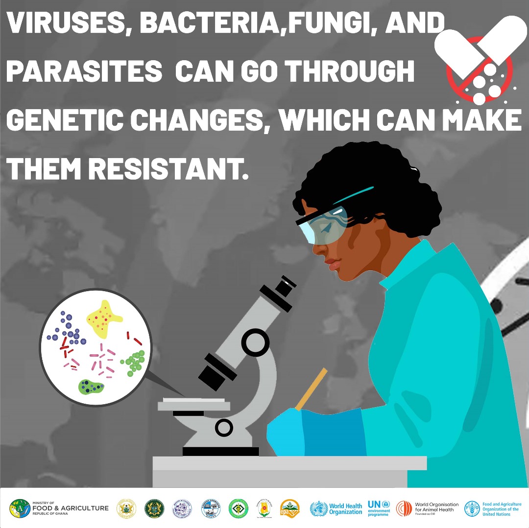 FAOGhana's tweet photo. Did you know? Developing new drugs is a lengthy and resource-intensive process. Let's use antibiotics responsibly to preserve their effectiveness and combat.

#AntimicrobialResistanceAwareness
#HealthCareResponsibility
#CombatAMR https://t.co/s625aESSgt
