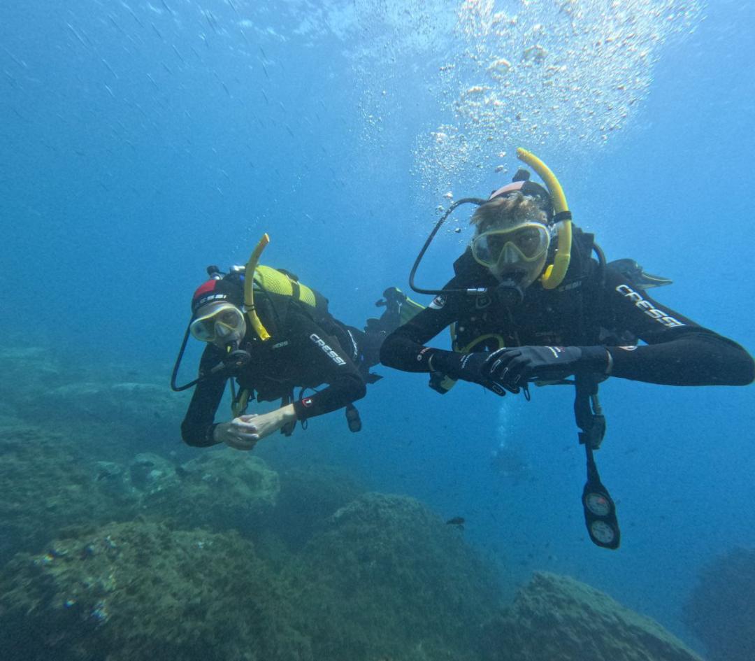 Nerjadiving's tweet photo. Para que puedas disfrutar de las #inmersiones es imprecindible tener una #flotabilidad neutra
Con #nerjadiveresort puedes obtener tu #titulacion #padispeciality en #marinadeleste #laherradura te atenderemos en nuestro #centrodebuceo https://t.co/wCWbkshCvR