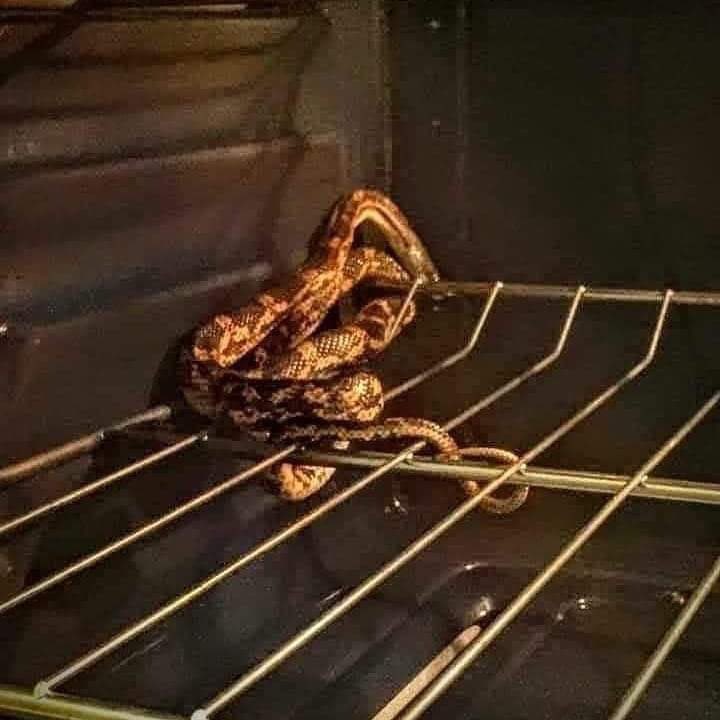 What do you do next after opening your oven and seeing this?