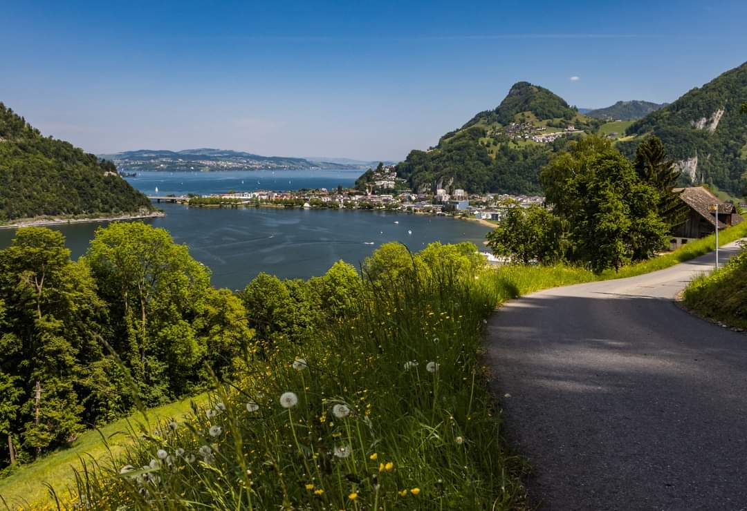 juiz_nidwalden's tweet photo. Rund um den Alpnachersee 🥾 https://t.co/5fT7kkrmGQ
Der Alpnachersee ist der Seitenarm des Vierwaldstättersees und definitiv eine Wanderung wert!
📷 Christina Bucher
#Wassertipp #Vierwaldstättersee #meysNidwaldä #Obwalden #Switzerland https://t.co/l1eTwh0DH9