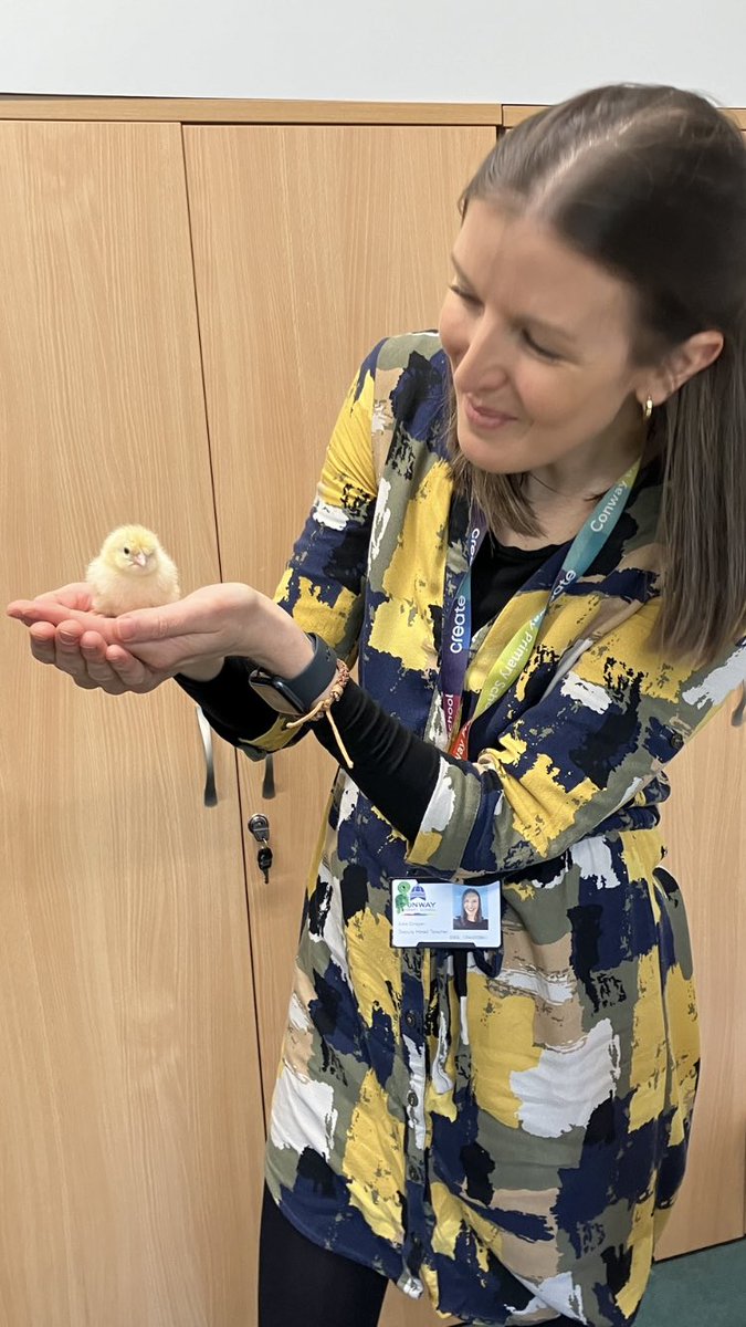 Chicks with chicks 🐣 🥰 ⁦@Conway_Primary⁩ ⁦@trust_create⁩ #eyfs #ConwayCrew