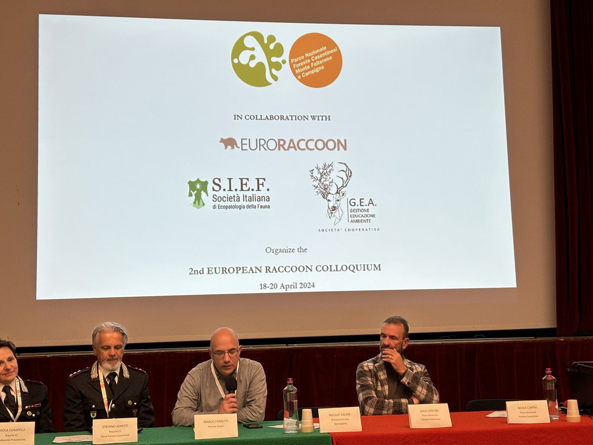 scaleric's tweet photo. In Tuscany (Italy) addressing the threat of introduced populations of raccoons in Italy and Europe #InvasiveSpecies https://t.co/jvWzB2l5zV