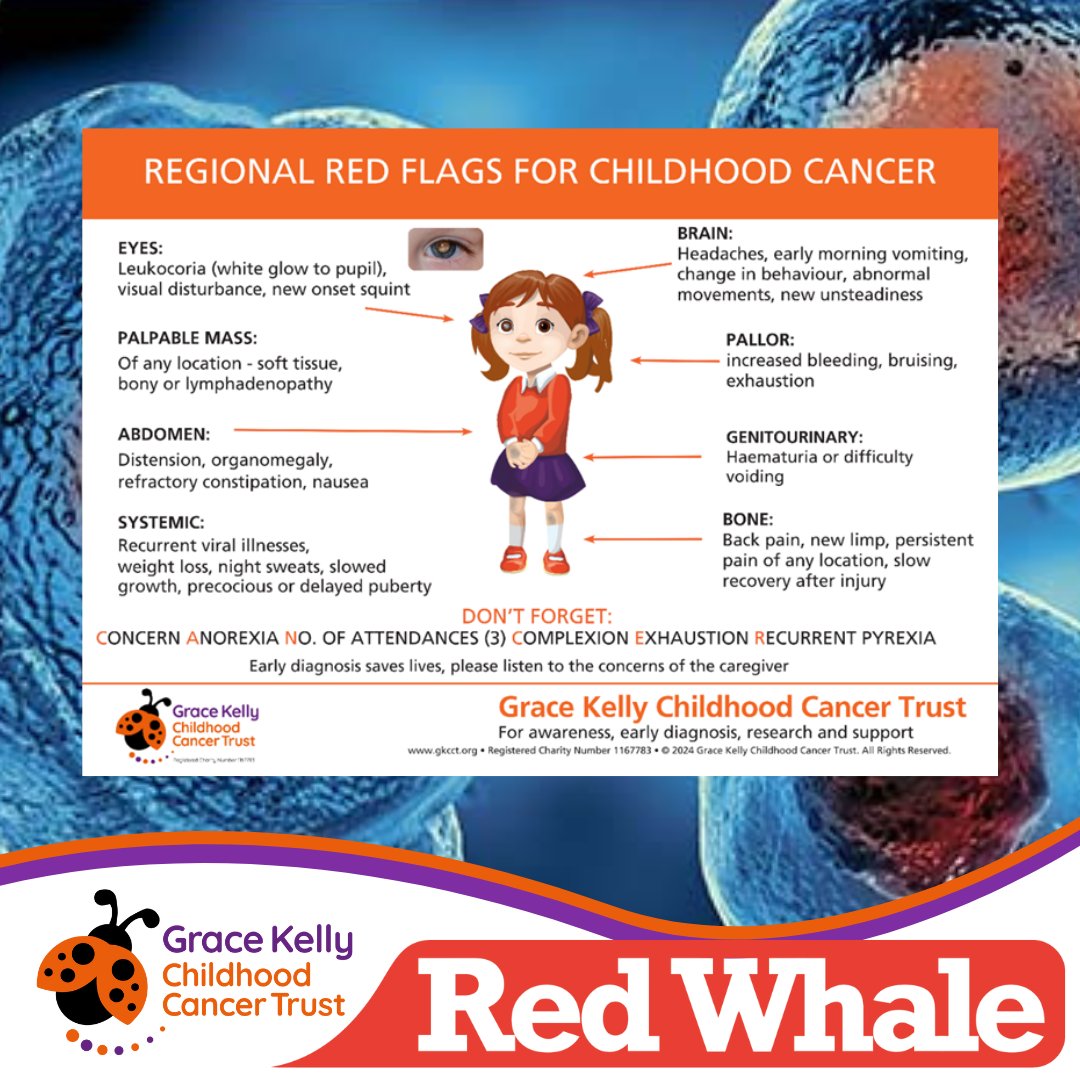 GraceKellyTrust's tweet photo. To coincide with #TYACAM one of the UK's leading medical education providers, Red Whale have teamed up with us to remind GPs &amp; clinicians working in primary care to consider further investigations for potential cancer in children and young people.

@GP_Update #education https://t.co/0HsCQhGGAX