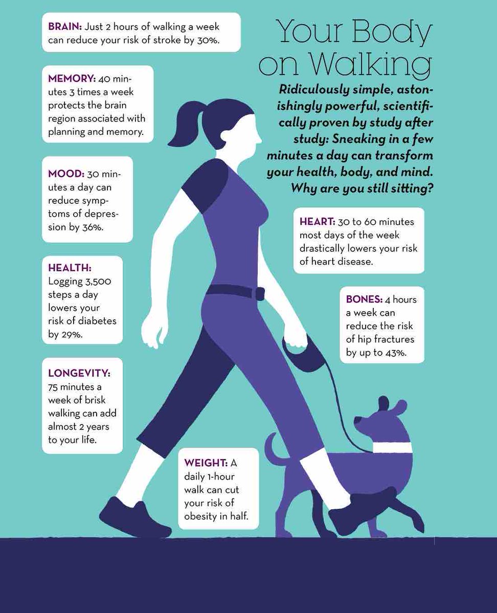 Going on walks with children is often a lesson in curiosity as they stop to look at flowers & pick up favourite stones & treasures to put in pockets. But the benefits of walking itself are astounding! Weave a walk into your day for a physical & mental boost #NationalExerciseDay