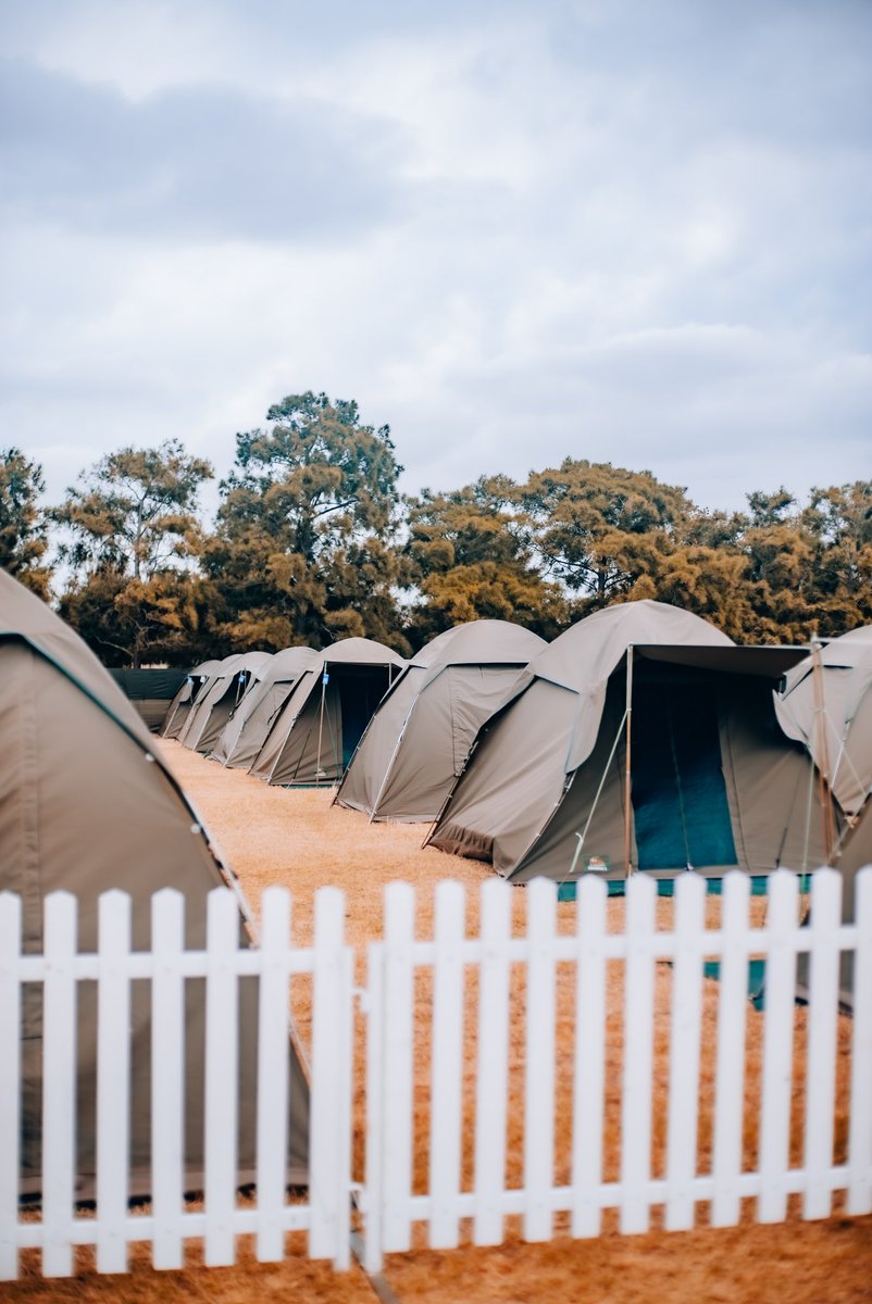 Daisyland dwellers STAND UP! For all the festival goers that believe in playing hard… Daisyland brings home to you. 🫵 From private catering, to tents equipped with electricity, to private bathrooms. The perfect fix for good times await. #RockingTheDaisies #Daisies24