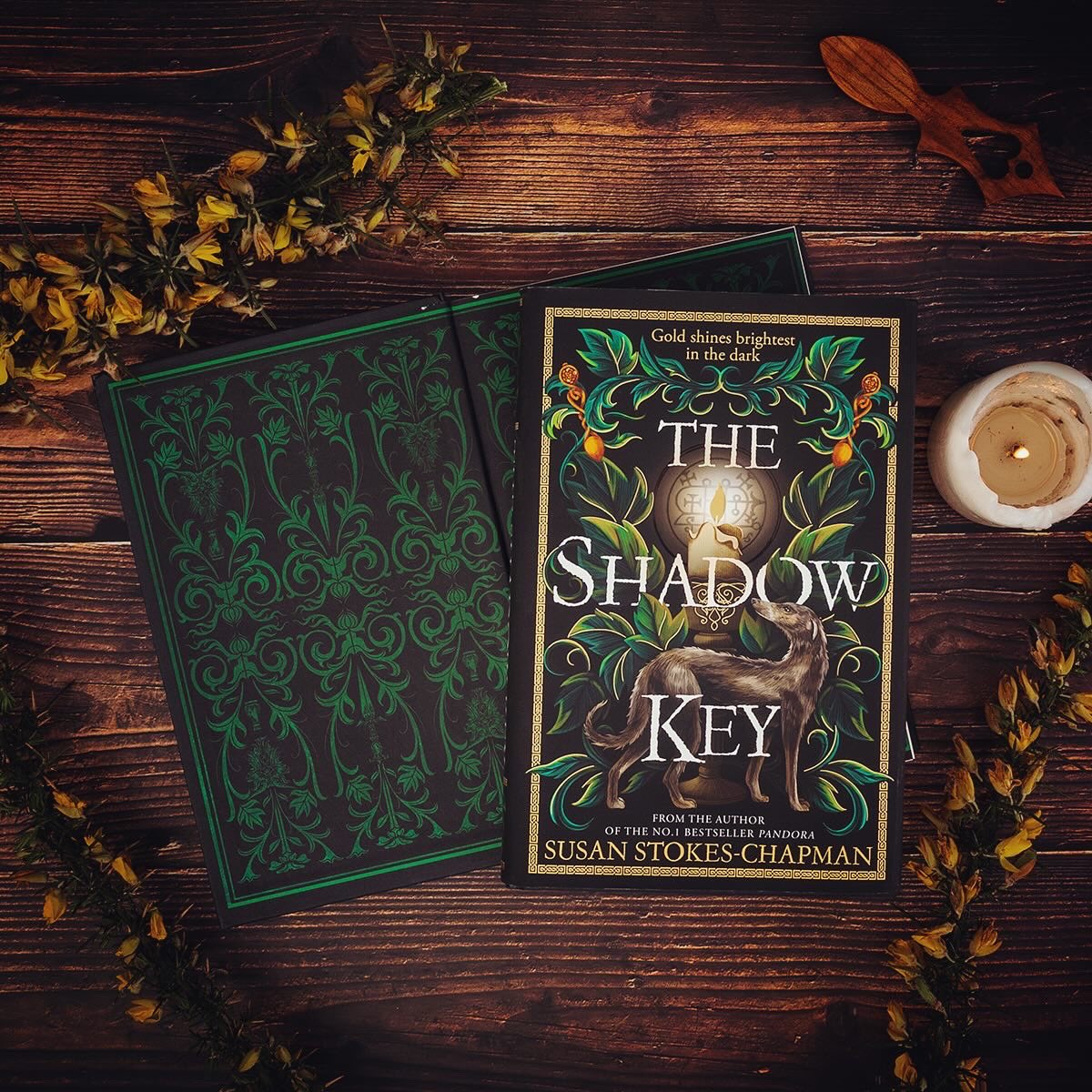 It’s publication day for THE SHADOW KEY! Apologies in advance for spamming the heck out of your timeline today but this darkling Welsh 🏴󠁧󠁢󠁷󠁬󠁳󠁿 novel of mine really does mean so much to me, and I’m proud of it for so many reasons. Go forth into the world my Gothic beastie! 🕯️🖤💀