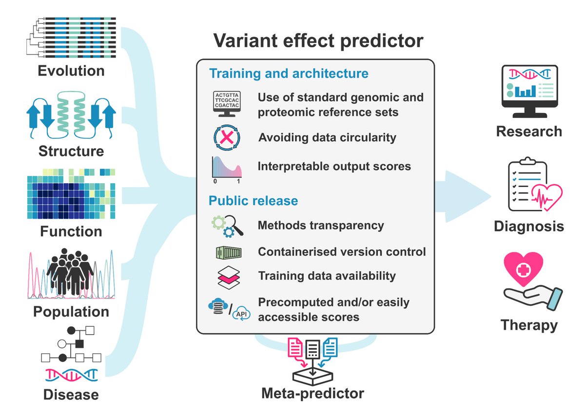 Kresten Lindorff-Larsen (@lindorfflarsen) on Twitter photo Guidelines for releasing a variant effect predictor
By <a href="/BenLivesey6/">Ben Livesey</a> <a href="/jmarshlab/">Joe Marsh</a> and other members of the atlas of <a href="/varianteffects/">Atlas of Variant Effects Alliance</a> alliance 🧬
arxiv.org/abs/2404.10807 Guidelines for releasing a variant effect predictor
By <a href="/BenLivesey6/">Ben Livesey</a> <a href="/jmarshlab/">Joe Marsh</a> and other members of the atlas of <a href="/varianteffects/">Atlas of Variant Effects Alliance</a> alliance 🧬
arxiv.org/abs/2404.10807