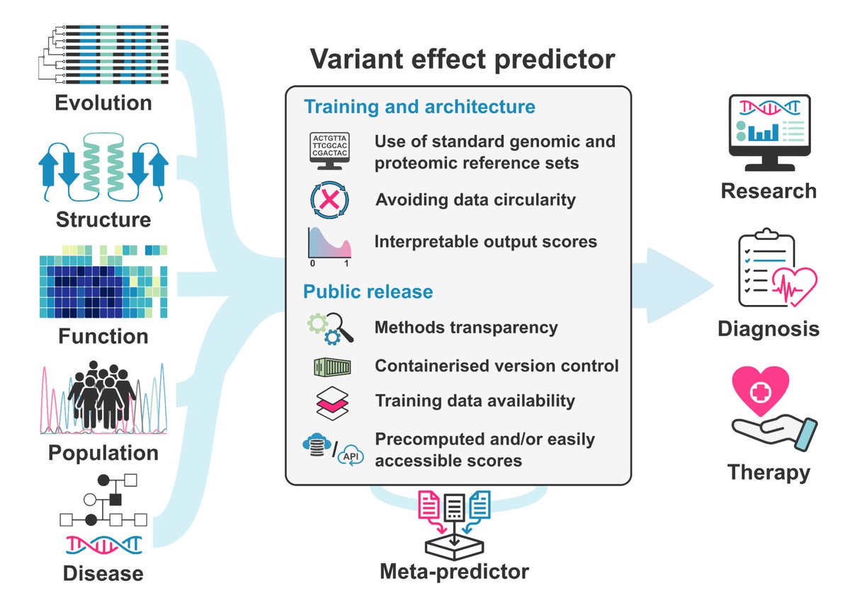 Guidelines for releasing a variant effect predictor By @BenLivesey6 @jmarshlab and other members of the atlas of @varianteffects alliance 🧬 arxiv.org/abs/2404.10807