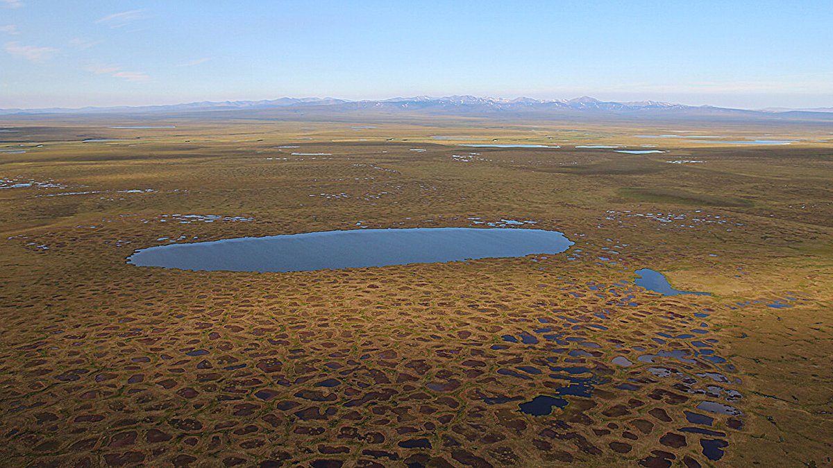 RogerHallamCS21's tweet photo. This is what is called passing a climate tipping point, NOT approaching one - right.

Northern permafrost region emits more greenhouse gases than it captures, study finds

https://t.co/s3V5D4Gerf

"If the methane that is trapped in there were emitted over, for example, a 20 year period, the global temperatures would probably rise by about 5-8C." 

@Sir_David_King  - former Chief Scientific Advisor to the UK government, saying billions will die.

https://t.co/HiScQ3Mzp8 (from 3.08 mins for "snapshot" summary).
