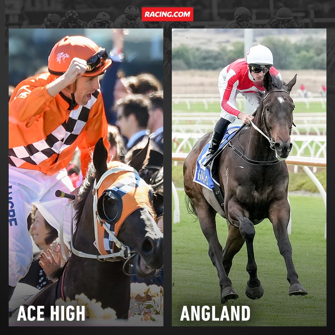 Racing.com (@racing) on Twitter photo .<a href="/tyeangland/">Angland Jockey Management</a> rode Ace High to victory in two G1s.
Angland, by Ace High, was named after Tye & is currently unbeaten from two career starts 🧡 .<a href="/tyeangland/">Angland Jockey Management</a> rode Ace High to victory in two G1s.
Angland, by Ace High, was named after Tye & is currently unbeaten from two career starts 🧡