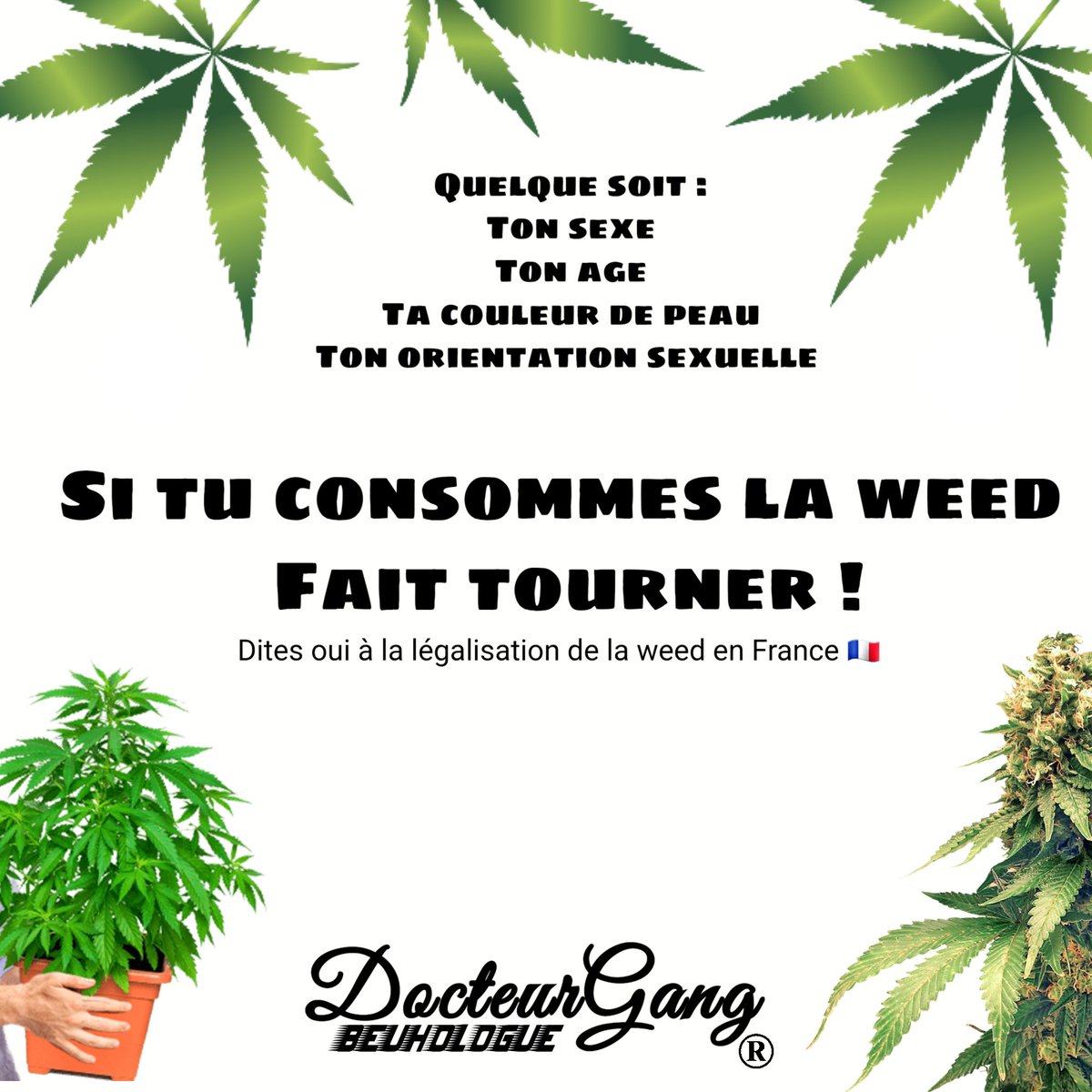 📣 Rappelons le chaque jour :

Si tu consommes ou supporte la légalisation totale de la weed en France, FAIT TOURNER 🥳

#légalisation2024