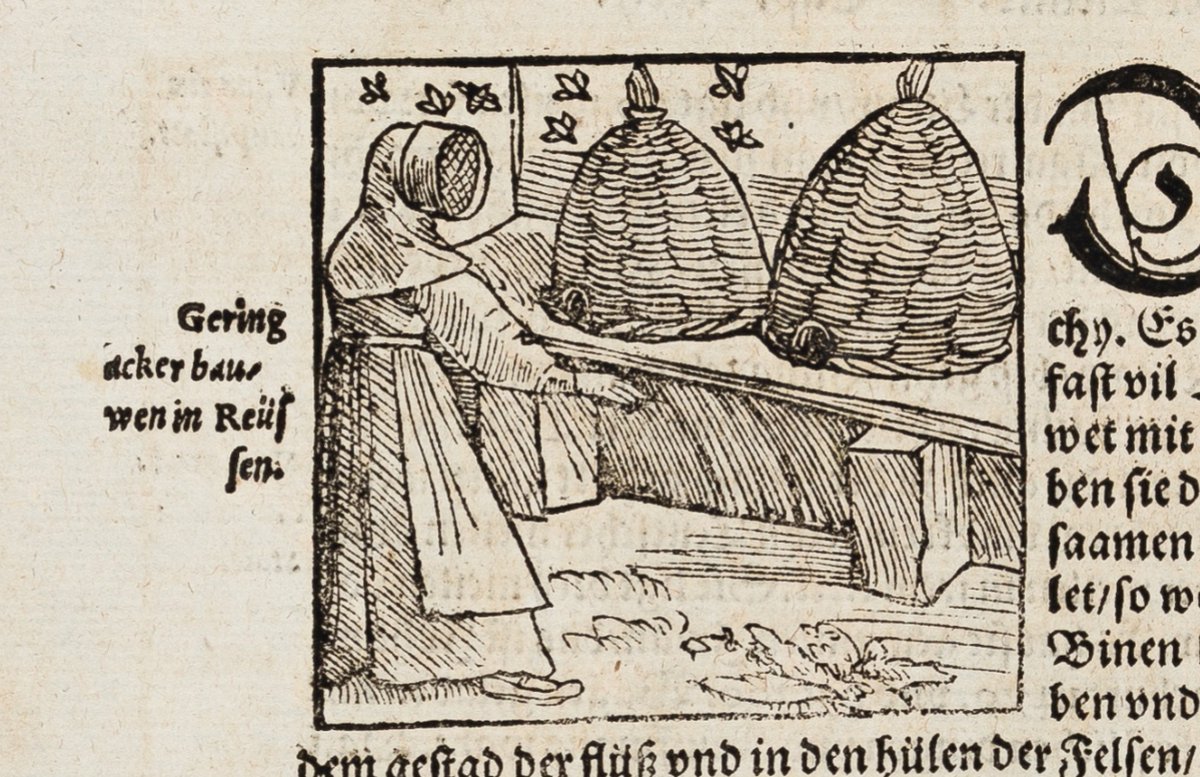 look at this! medieval / renaissance beekeepers, horrifyingly cute depictions are often from ~15th cent.