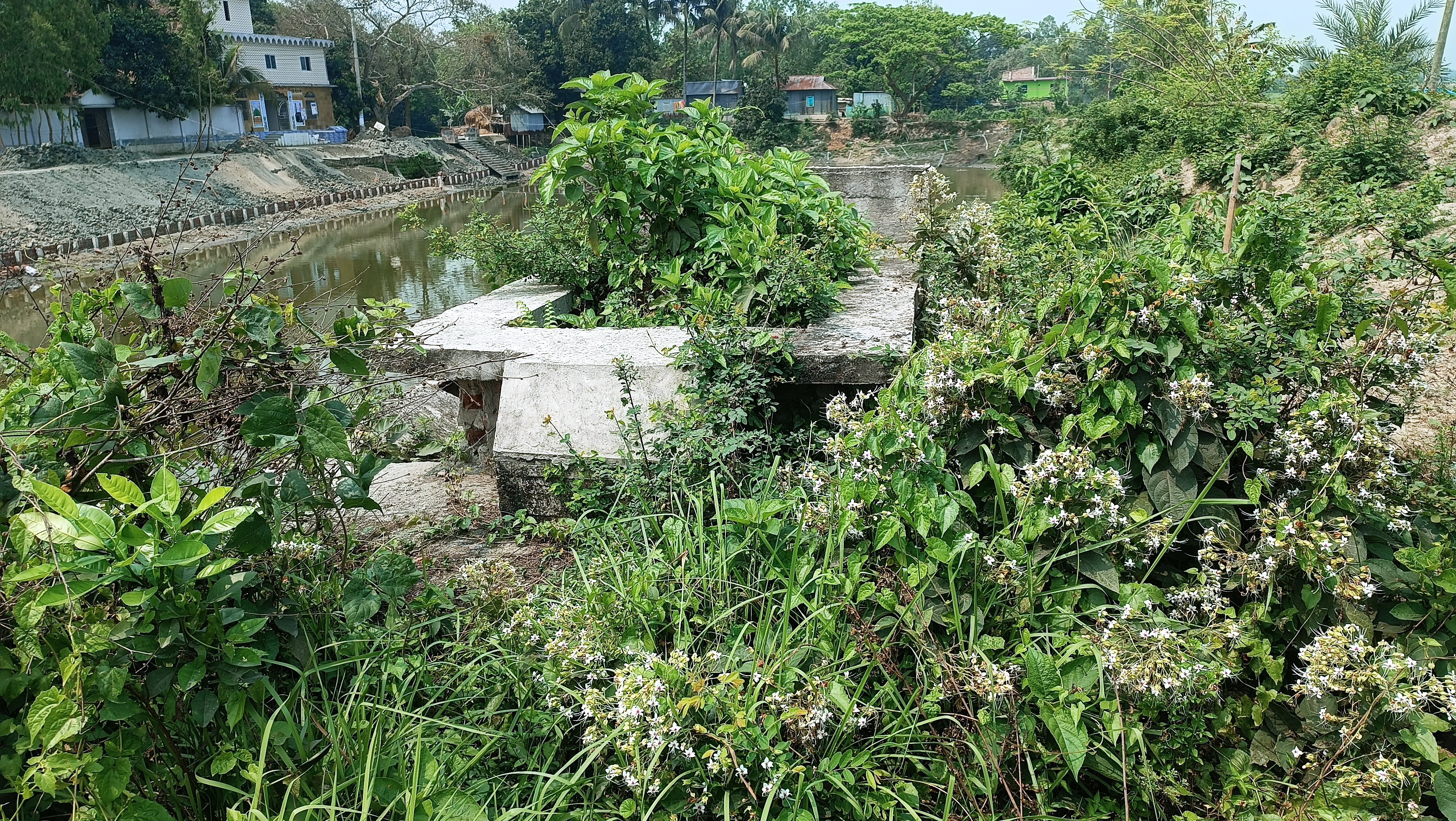 শহীদ জামালের কবরের বেহাল দশা