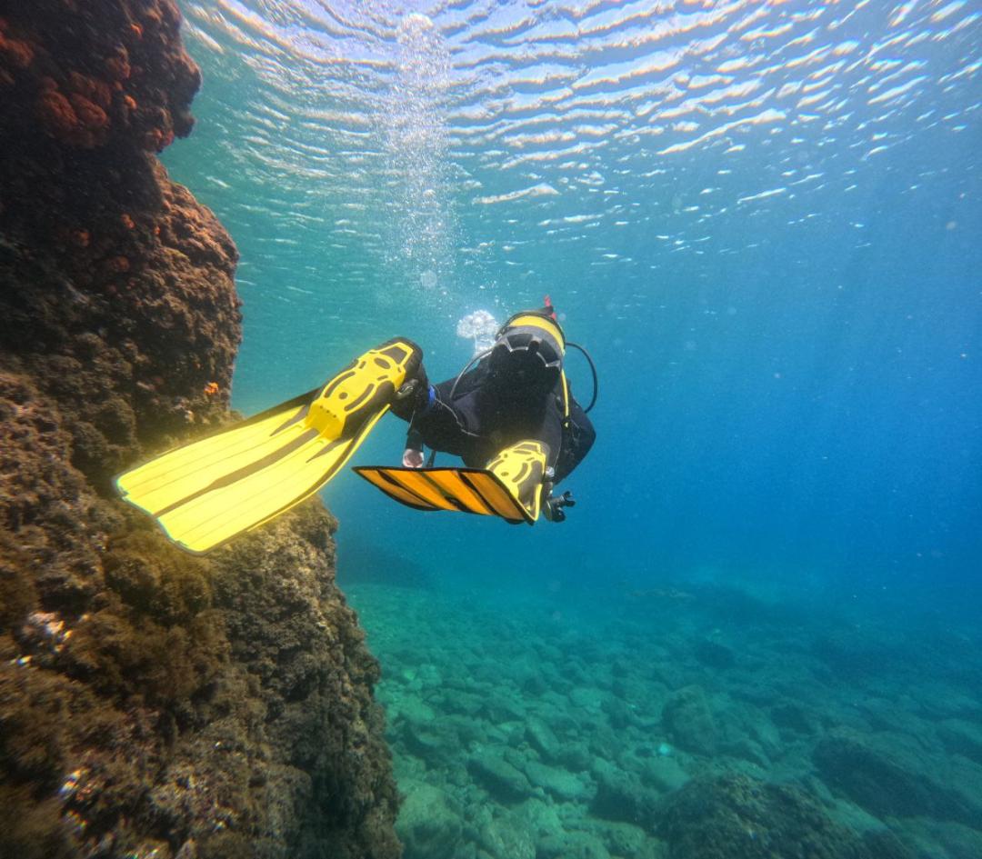 Nerjadiving's tweet photo. #nerjadiveresort #nerjadiving #torroxcosta #malaga #almuñecar #tauch #dykcenter #dyka @costatropicaltv #costadelsol #scuba #scubadiving https://t.co/gvP61XTeAC