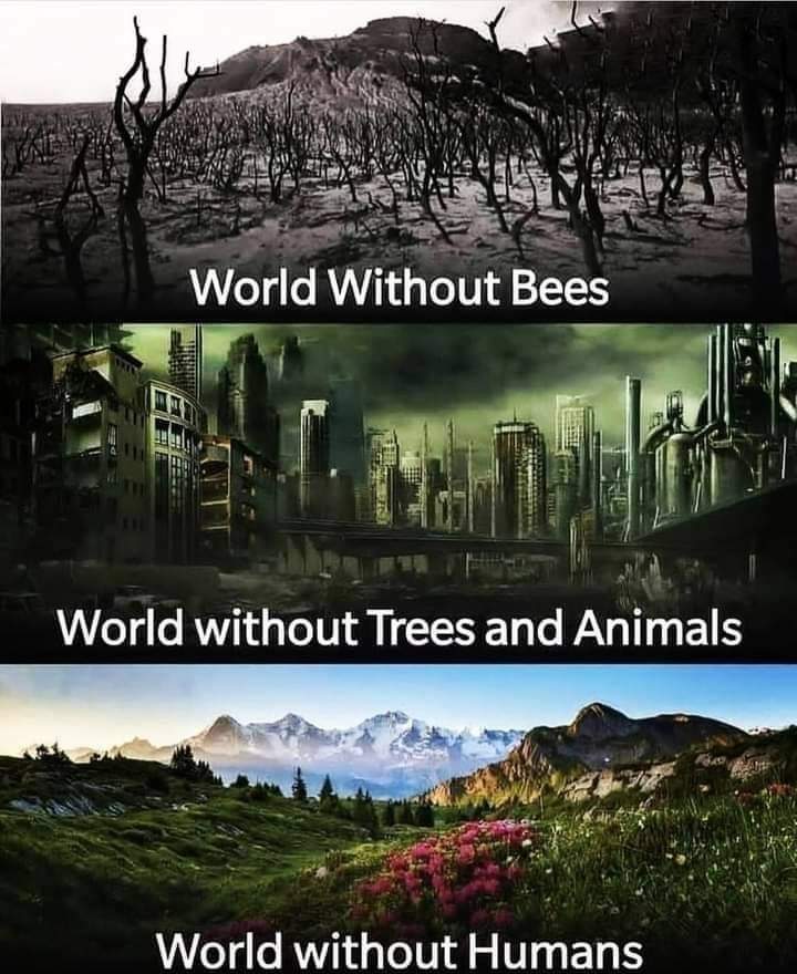 See the difference...
Between humans and animals....
#saveearth #savenature #saveanimals
