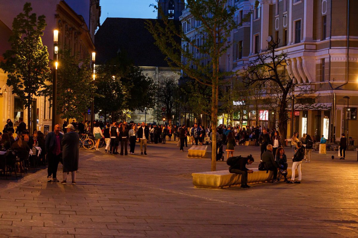 Emil Boc tweet media