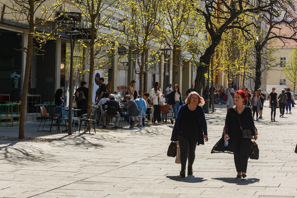 Emil Boc tweet media