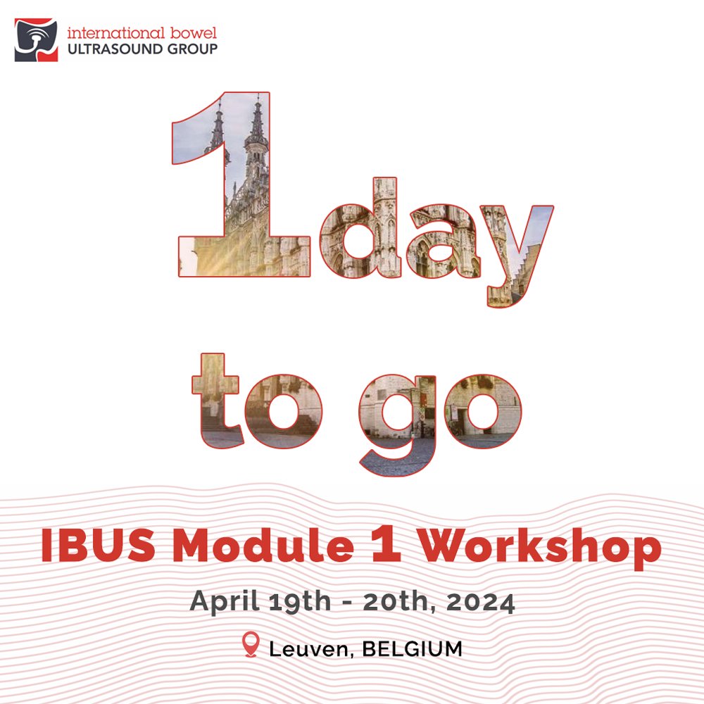 Tomorrow the IBUS Module 1 Workshops will start in Leuven! We are excited to welcome participants from around the globe as they start their educational journey with IBUS. #IBUS #Workshop #Ultrasound #bowelultrasound