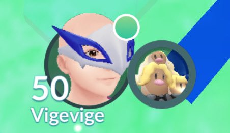 Vigevige tweet media