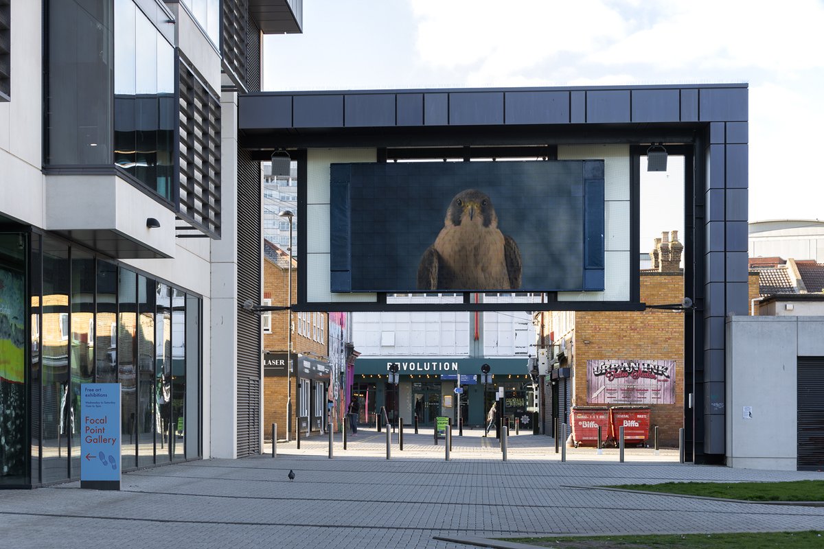 Our film 'When I Look At You I See Myself' is currently playing on the BigScreen at @FPGSouthend showing daily at 12.30pm + 3.30pm until 21 Apr presented to accompany our exhibition The Watcher and the Bird at @UniEssexLibrary @ArtExchangeUoE Thanks to Anna Lukala for the photo