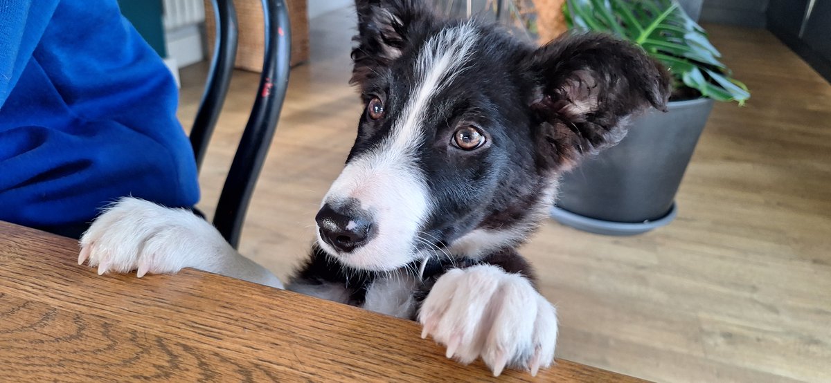 'I'd like some of that breakfast you guys are having!'