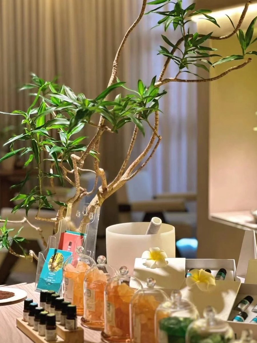 環境超級好，裝修看起來很高級
服務也是一流，接待的小姐姐會提前等待準備好一客一換的拖鞋
