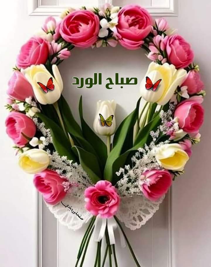 بدايات #قروبات_ريم_للاضافات_والدعم @FrzRym 726 @wlll1a 033 @k__g88 @ilil__15 849 @SEltaer 004 @Athar_3m 776 @Ali_Ki02 520 @mueadh_10 958 @seed_mh 865 @SiirSL_1 945 @HsynyHsn 718 @jam_2018 115 @RDwnhom 081 @kamelbslfj 311 @Alrushaidan1 094 @nbrs61967253 458 @mhmdfth22735041 219