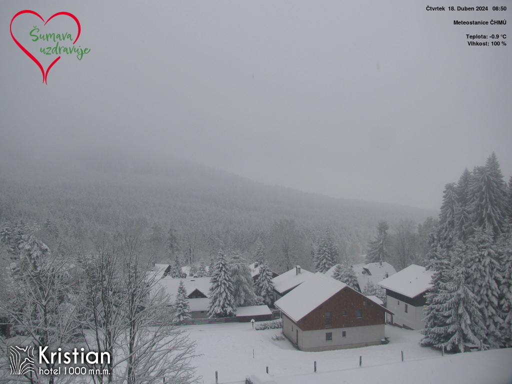 ❄❄❄Šumava pokračuje v bílé jízdě☃️, a to hlavní má teprve ještě před sebou. Boubín dnes ráno hlásí 15 cm nového sněhu. Sněžilo tentokrát zejména na návětrné - severní/severovýchodní straně Šumavy.

❄Ve čtvrtek ráno ležel sníh na Šumavě již od nadmořské výšky cca 750 m (např.