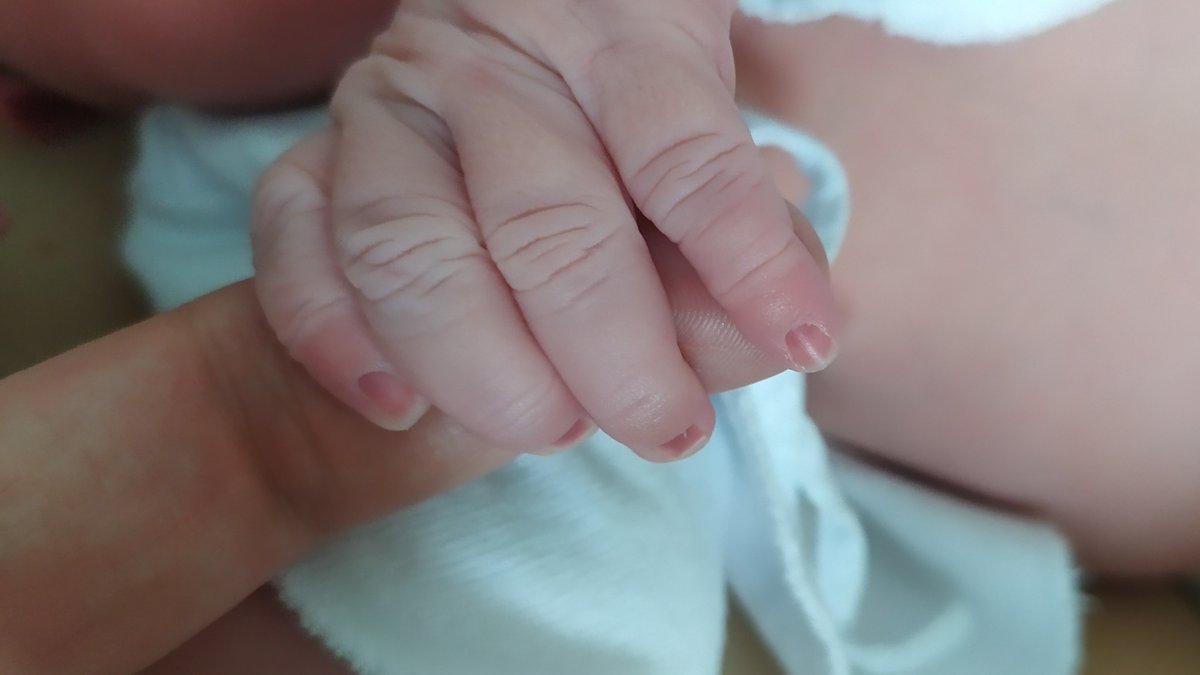 Kiko Martínez - Indie Dev tweet media