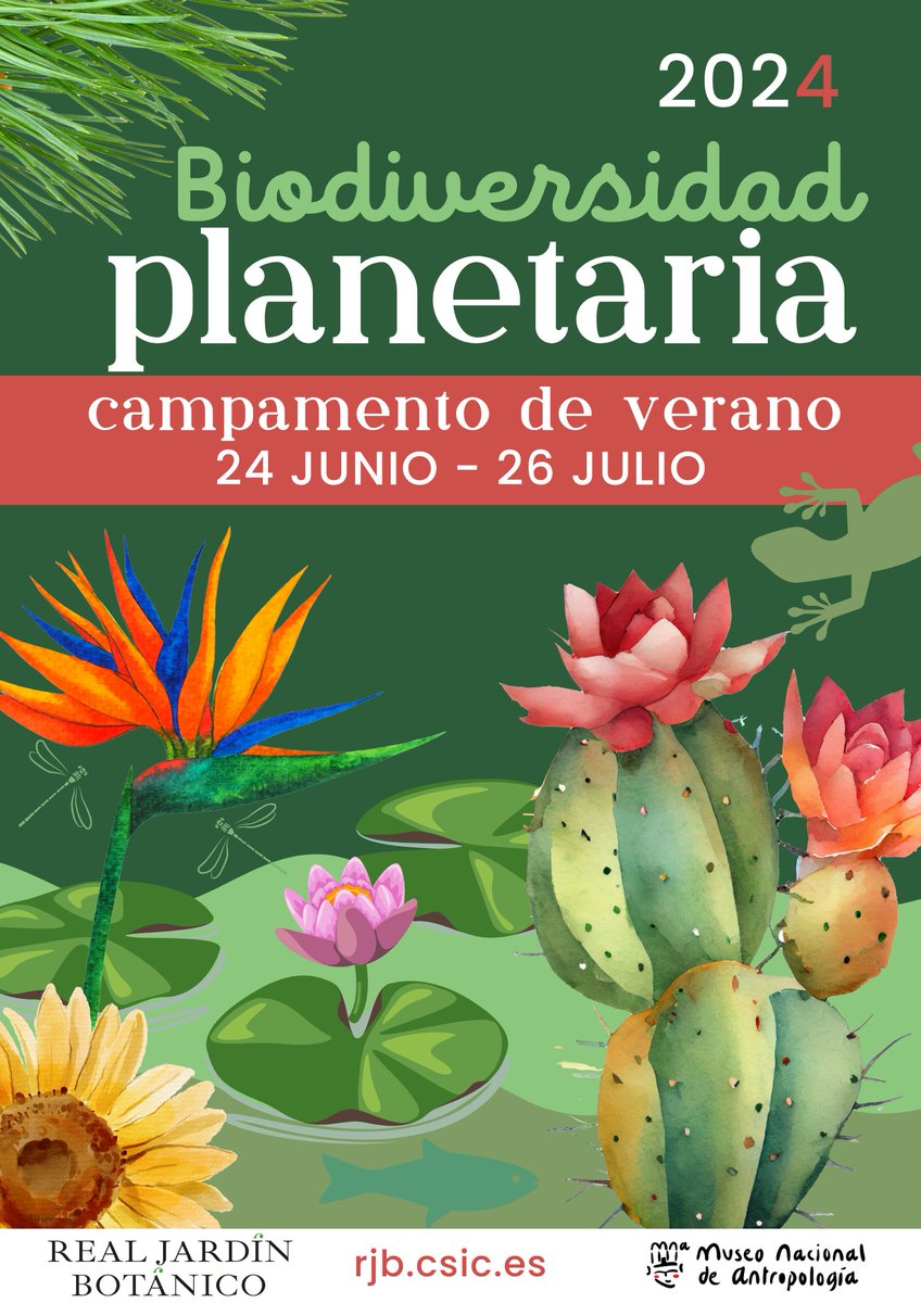 ¡Volvemos a colaborar con el @RJBOTANICO en el campamento de verano! 🌻🌷 Este año, os proponemos convertiros en naturalistas y antropólogxs para descubrir la biodiversidad que ofrece nuestro planeta 🌍 Tenéis toda la información en nuestra página web 🤩 cultura.gob.es/mnantropologia…