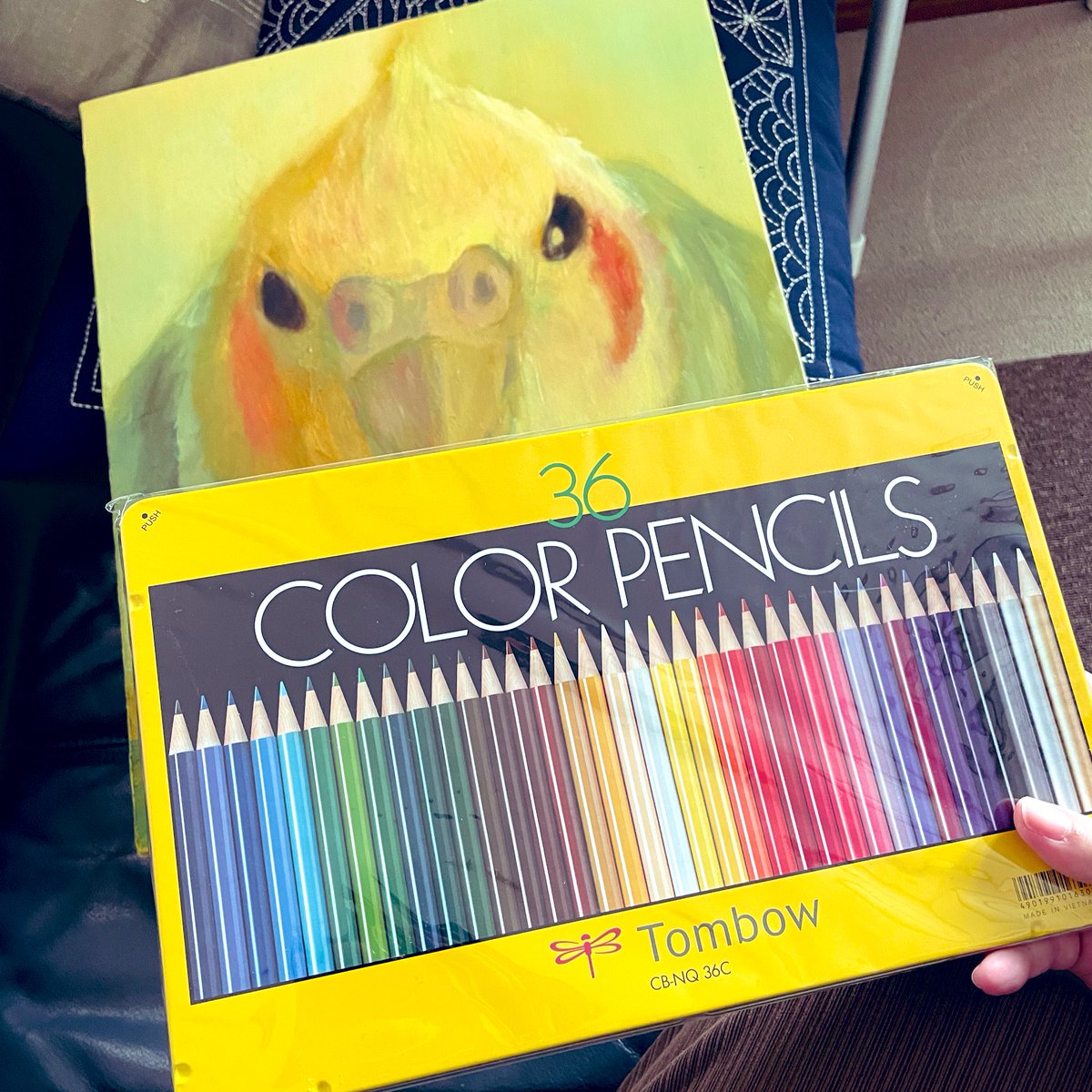 障害者アート協会から絵が帰って来た‼️
色鉛筆が入ってたよ☺️❤️
嬉しい❣️色鉛筆で、何か描こう😃❤️