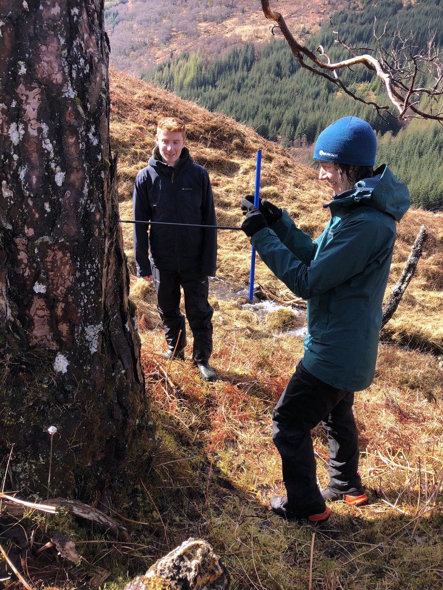 Dr Coralie Mills tweet media