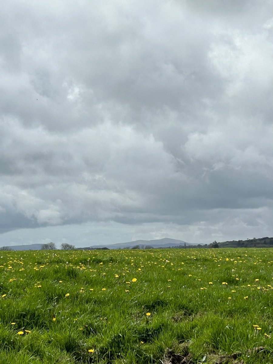 Stunning view across the proposed site, one can spot Enniskeane church tower and behind it in the distance Nowen Hill, the source of the River Bandon.
Did you know that its name comes from Ban-Dea, which means goddess?
#westcork #bandon #Enniskeane