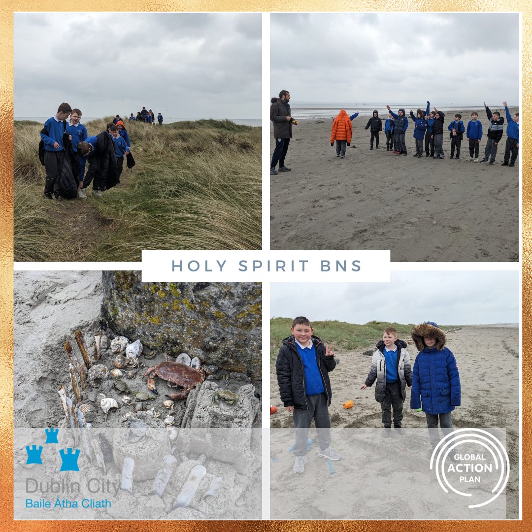 Holy Spirit BNS visited #bullisland yesterday in our #ParkStewardship programme. We learned all about life on the island from Pat, before heading off to explore the shore and build some amazing creations from our discoveries. Funded by @DubCityCouncil @DCCFinglasBmun