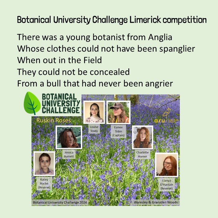 Botanical University Challenge #BUC2024 teams asked to write #limericks. Second most popular one was from Anglia Ruskin Team, the Ruskin Roses. For all limericks youtube.com/watch?v=nvgtfp… @angliaruskin @ARU_Biology @Dr_RMiller @John_in_Aber @drmgoeswild