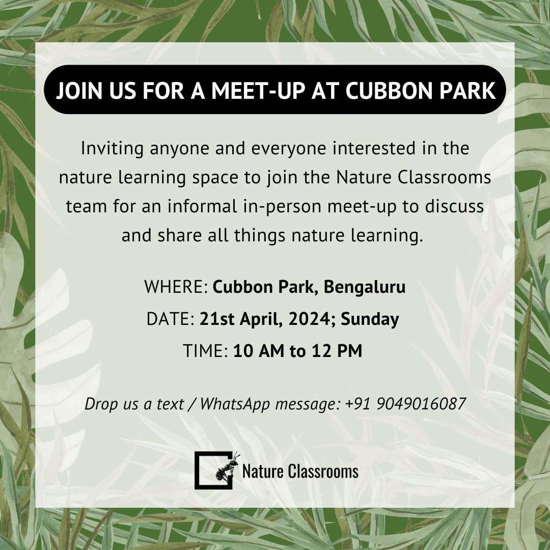 The Nature Classrooms team is keen on organising an informal in-person catchup in Bangalore! We can share nature stories, discuss the work we do in the space of nature learning, exchange ideas, resources and experiences while looking at birds, insects and spiders🐜