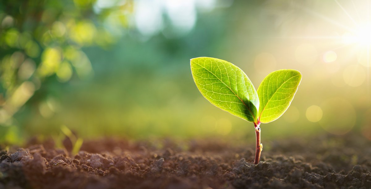 Reducing the Environmental Footprint: A Guide for SMEs to Embrace #Sustainability 🌱 Did you know - One of the most immediate ways to reduce your environmental footprint is by improving energy efficiency. Find out more in the article here: growthhub.swlep.co.uk/news/all-news/…