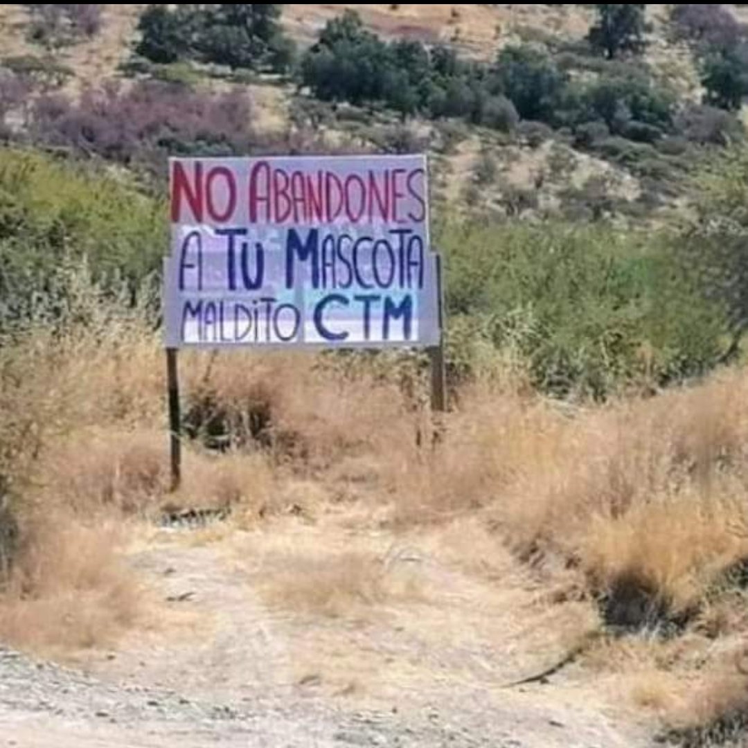 Hugo Morales🌈🌳#ChileSinFascismo⛔ (@hugoguionista) on Twitter photo 