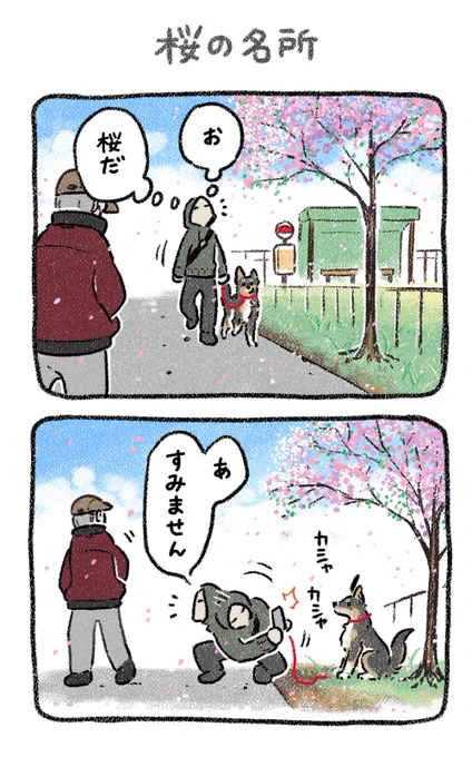 桜スッレスレ🌸
#漫画が読めるハッシュタグ 
#絵日記 #犬 
