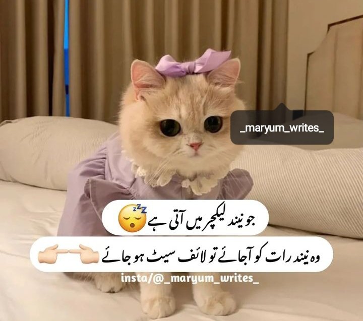 Fariya tweet media