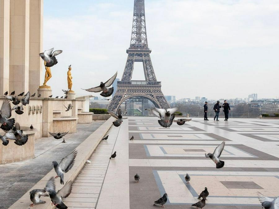 En partenariat avec le @CNRS, assistez à la table ronde : « Attestation et confinement : comment avons-nous obéi ? » lors du festival @lhistoireavenir. ➡️ Vendredi 24 mai à 14h30 - Bibliothèque d’étude et du patrimoine Plus d'informations : lhistoireavenir.eu/evt/529/